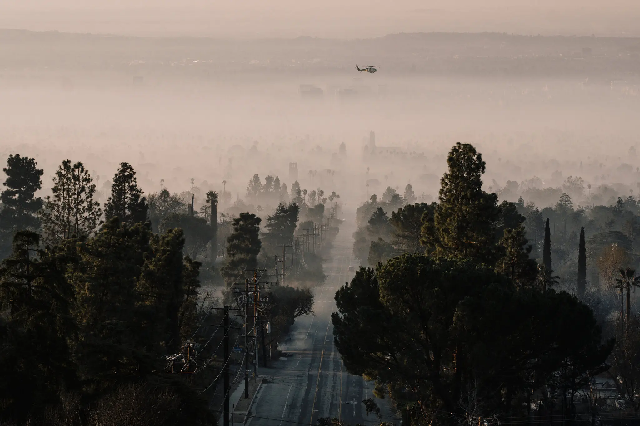 Вид з вершини пагорба на спустошений район Альтадена, Каліфорнія